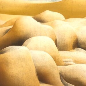 PIETRINA CHECCACCI O tempo da Terra, 1978
