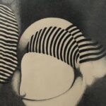 Op-erótico, 1969
